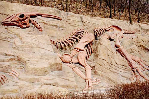 Simulation Dinosaur Skeleton for Museum