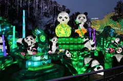 Commercial Project Festival Animal Lantern Show