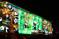 Proyecto Comercial Festival Animal Lantern Show