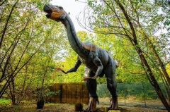 Fabricante de dinosaurios animatronic de Zigong