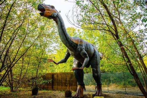 Zigong Animatronic Dinosaur Manufacturer