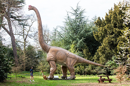Modelo de dinosaurio mecánico de tamaño natural para parque