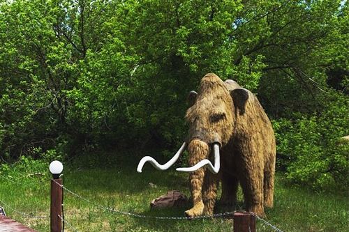 Museum Display Mammoth Electric Animals