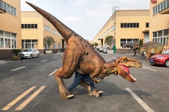 Disfraz de dinosaurio de goma de silicona personalizado