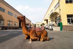 Life Size Camel Realistic Animatronic Animal Ride