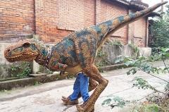 Realistic T-rex Suit for Event