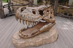 Modelo de cráneo de dinosaurio Esqueleto de dinosaurio de tamaño natural