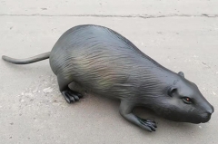 Modelo animal de fibra de vidrio para exposición