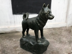 Modelo animal de fibra de vidrio para exposición