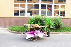Outdoor Garden Decoration Artificial Insects