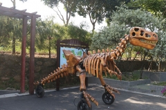 Paseo de esqueleto de dinosaurio de fibra de vidrio de diversión