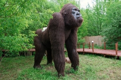 Vivid Robotic Animal Model Gorilla Statues For Sale