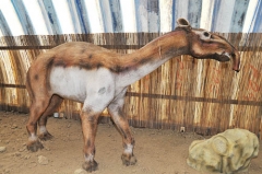 Life Size Realistic Giraffe Model for Zoo