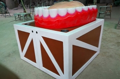 Fiberglass Teeth Model for Display