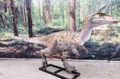 Estatua de fibra de vidrio modelo dinosaurio de tamaño natural en venta