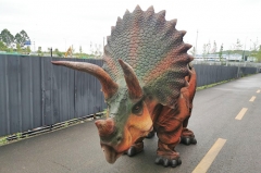 4 piernas Triceratops tamaño de vida caminando traje de dinosaurio