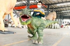 Animatronic Adult Dinosaur Ride Costume For Show Props
