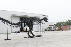 Life Size Dinosaur Skeleton Model