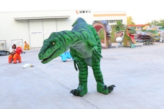 Dinosaur Costume