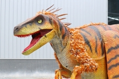 Dinosaur Costume with Feather