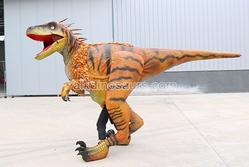 Dinosaur Costume with Feather