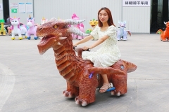 Red Dragon Rides