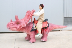 Styracosaurus Rides