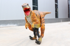 Dinosaur Costume with Feather