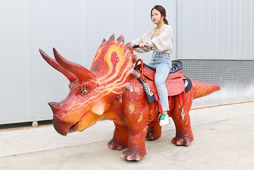 Triceratops Rides