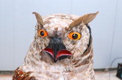 Animatronic Owl