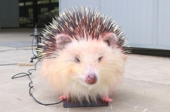 Animatronic Hedgehog