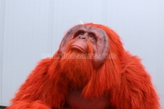 Animatronic Orangutan