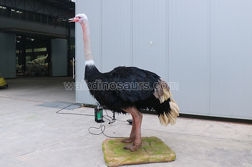 Animatronic Ostrich