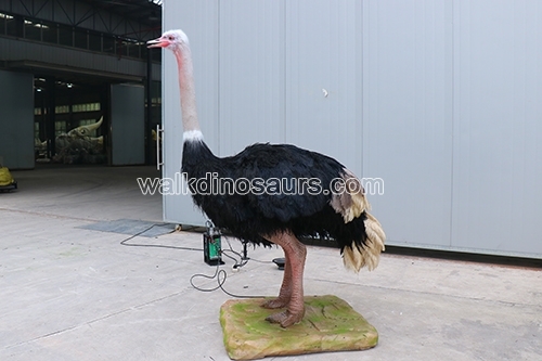 Animatronic Ostrich