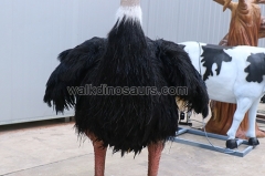 Animatronic Ostrich