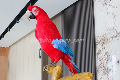 Animatronic Parrot