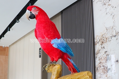 Animatronic Parrot