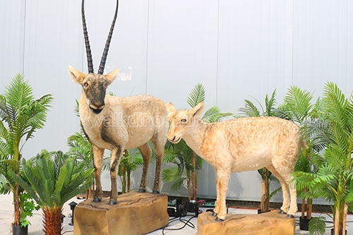 Farm Animal Goat Animatronic Lechwe