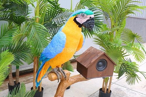 Animatronic Parrot