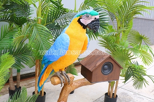 Animatronic Parrot