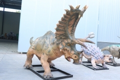 Pentaceratops Fiberglass Dinosaur