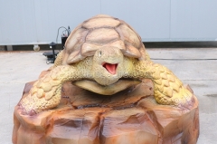 Animatronic Sea Turtle