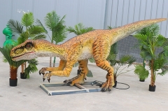 Dinosaur Park Velociraptor