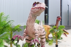 Life Size Velociraptor