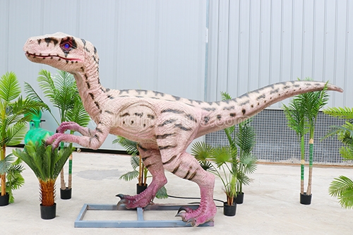 Life Size Velociraptor