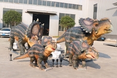 Life Size Dinosaur Pachyrhinosaurus