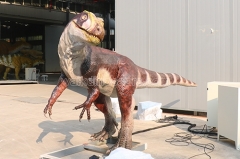 Animatronic Dinosaur Timimus