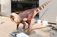 Animatronic Dinosaur Timimus