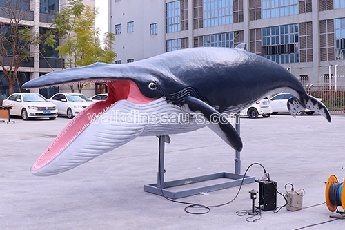 Aquarium Displays Animatronic Blue Whale