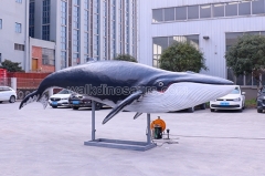 Aquarium Displays Animatronic Blue Whale